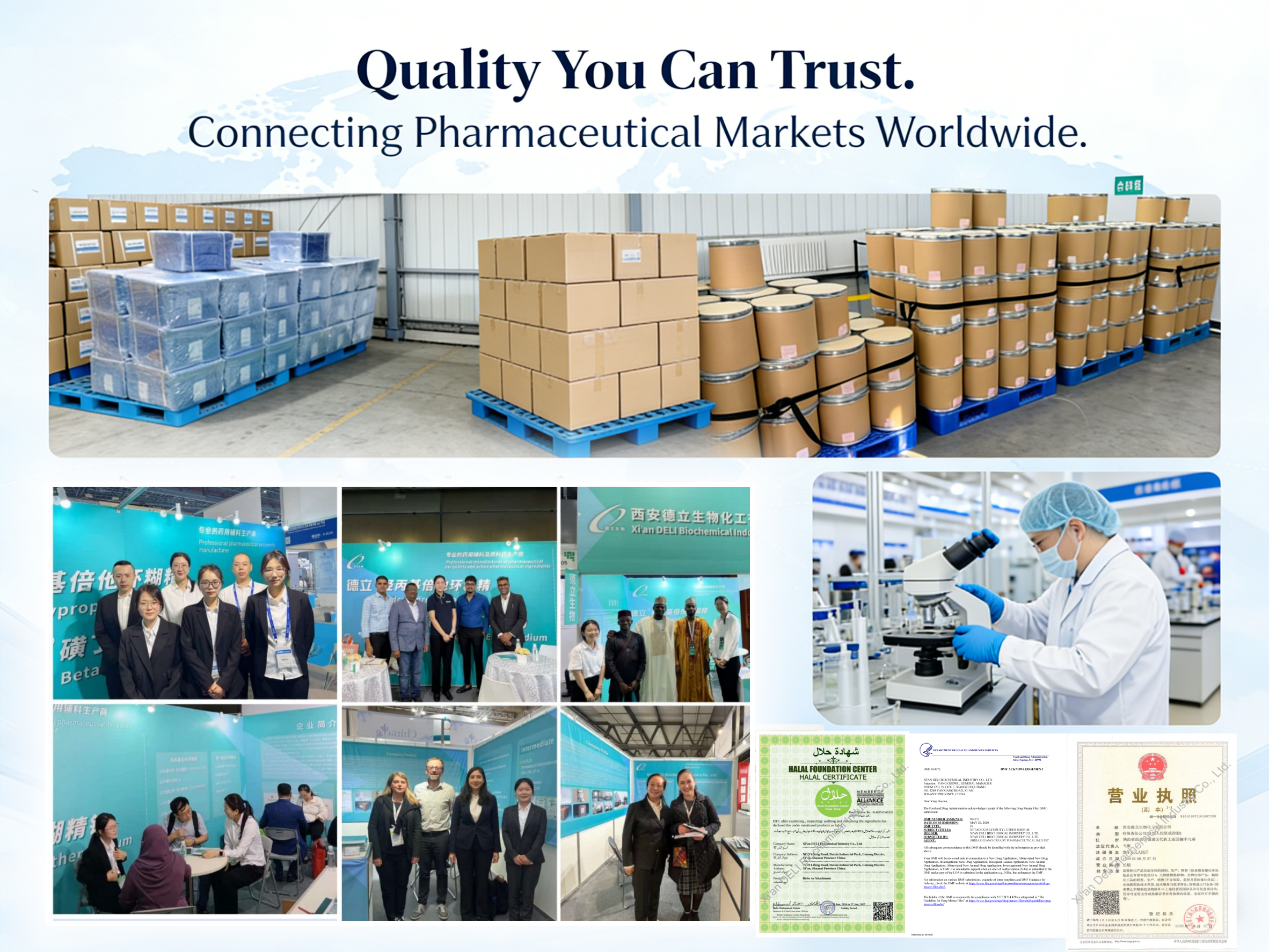 டெலி உயிர்வேதியியல் சிறப்பம்சங்கள் 2025 சாதனைகள் மற்றும் முன்னோட்டங்கள் 2026 கண்காட்சிகள்